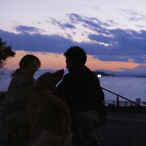 亚洲男同gv资源在线观看
